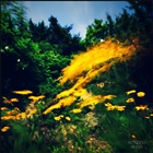 dailyPhoto7